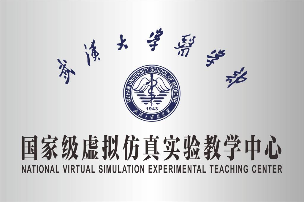 国家级虚拟仿真实验教学中心